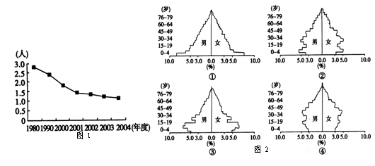 人口年龄结构金字塔图_人口年龄结构金字塔图的判读(3)