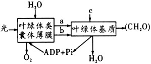 b在叶绿体中含量的变化将会是]a.a上升.b下降b.a.