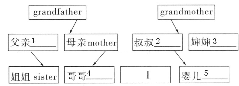 下列的单词选择正确的汉语意思. ( ) 1. aunt