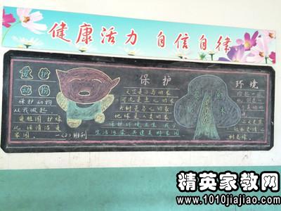 爱护环境活动总结三篇 | 活动总结--精英家教网