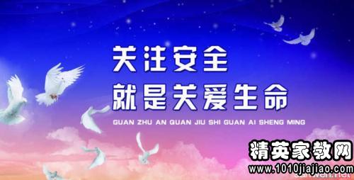 优秀电力安全学习心得体会