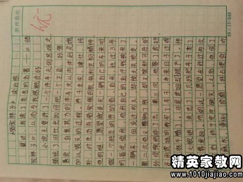 骆驼祥子的读后感300字