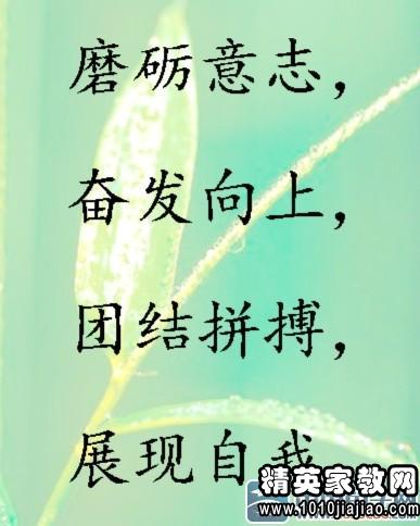个人口号霸气押韵_装修公司口号霸气押韵