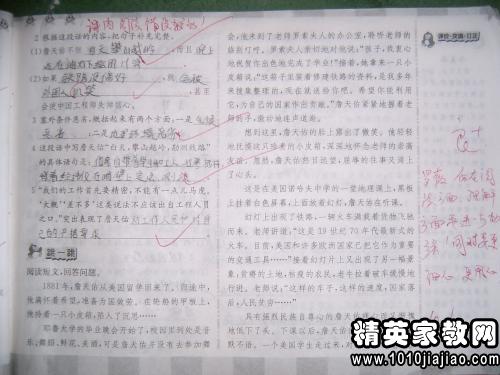 语文教学常规工作检查总结