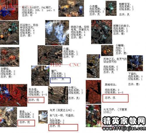 大学生广告公司寒假实践报告范文