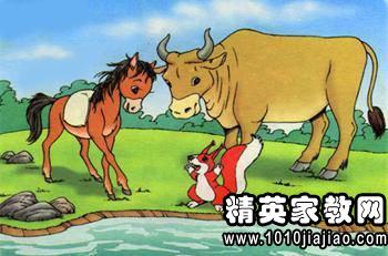 草房子细马读后感