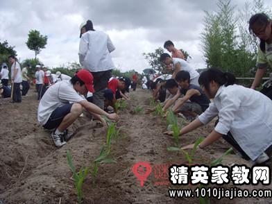 高中生社会实践调查报告优秀范文