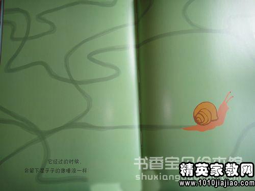 小动物观察日记三则