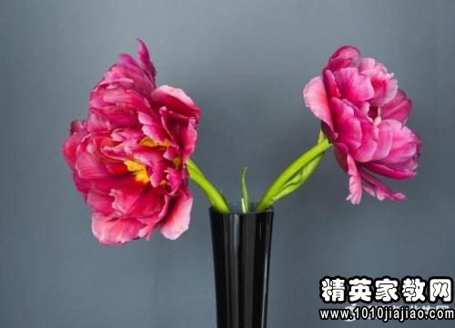 小学生励志名言短句激励