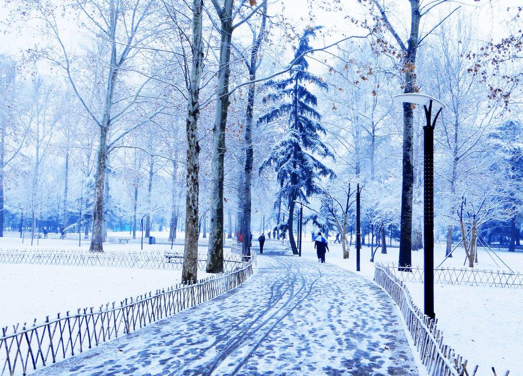 关于下雪的唯美句子_下雪浪漫唯美图片_唯美下雪图片图片