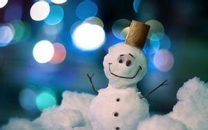 冬天形容下雪的优美句子