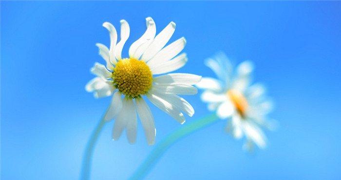 节约资源公益广告语大全