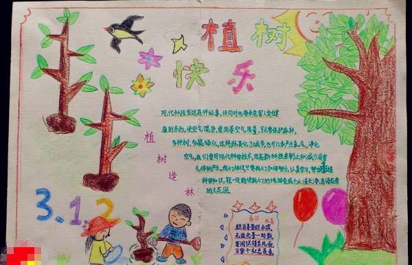 植树节手抄报版面设计图大全[精美篇] | 手抄报