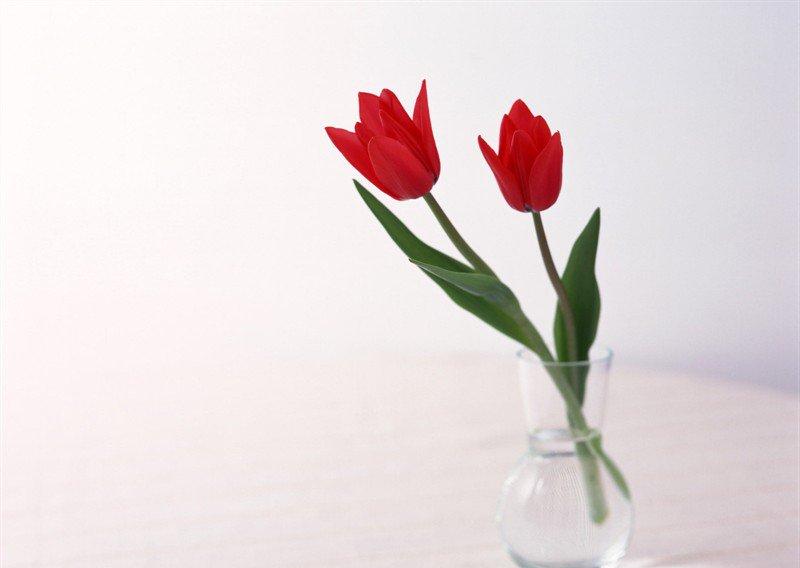 感悟人生的励志经典话语