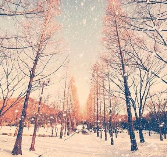 学习雷锋精神的经典句子