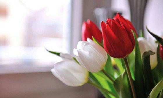 有关爱劳动的名人名言