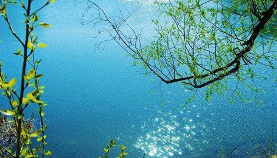 销售正能量的优美句子