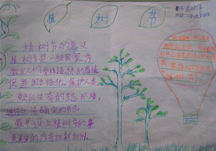 小学生的植树节手抄报图片