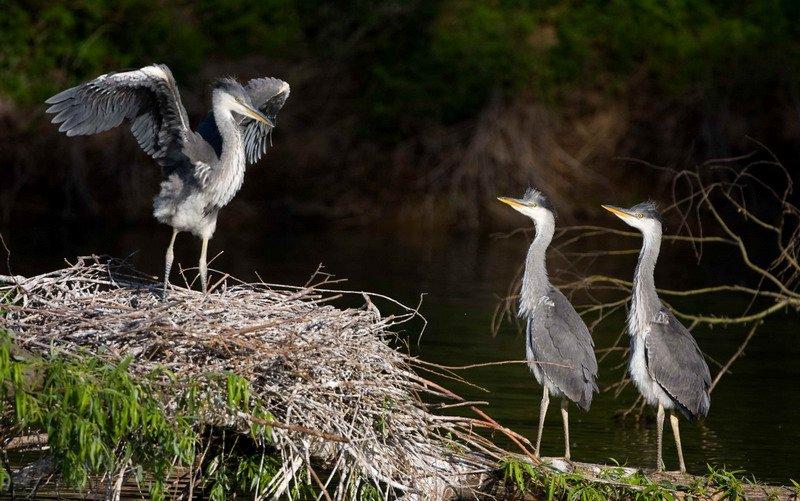 周末早安问候语幽默群发