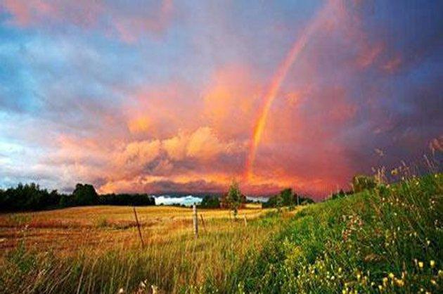 给客户的微信早安问候语大全