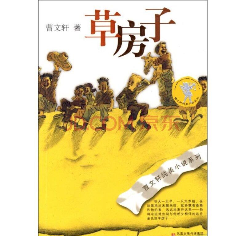 《草房子》读后感100字