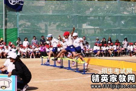 运动会观后感800字