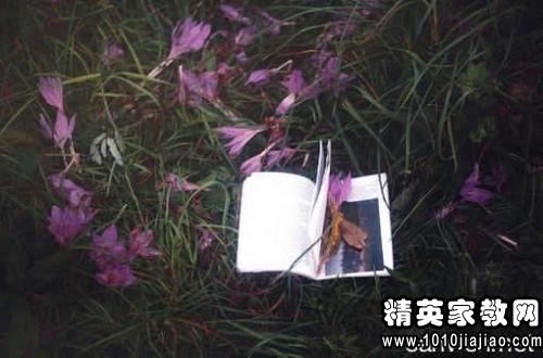 形容坚持不懈的名人名言