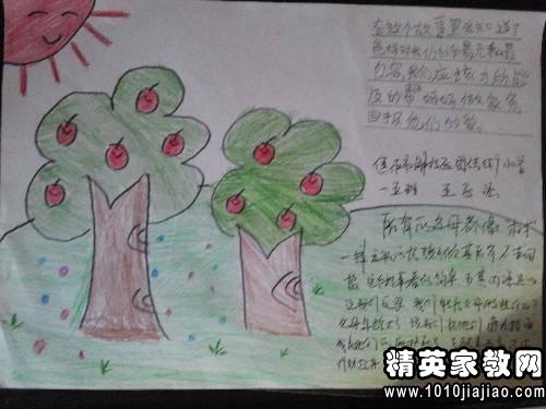 《去年的树》读后感500字