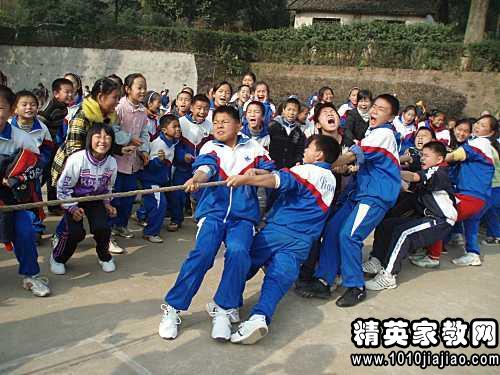 运动会有感作文500字