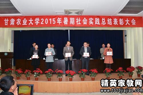 2015年三下乡社会实践个人小结