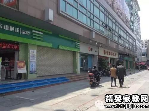 债权授权委托书