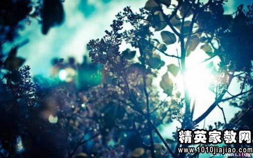 帮助别人的优美句子