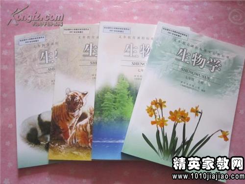 教学工作总结初中生物