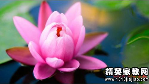 酒店员工辞职信范文3篇