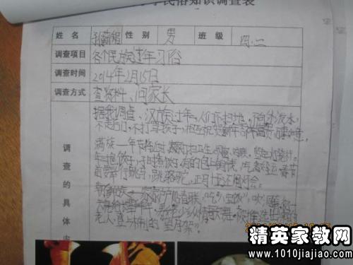 最新小学生环境调查报告