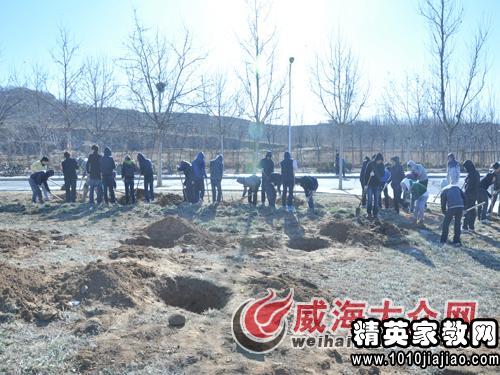 大学生植树节策划