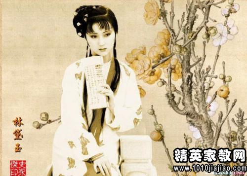 2篇《红楼梦》读后感600字