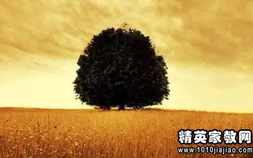 读了《骆驼祥子》有感1500字