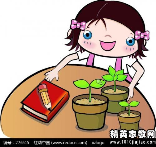 植物观察日记_大蒜成长日记