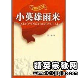 小英雄雨来读后感400字