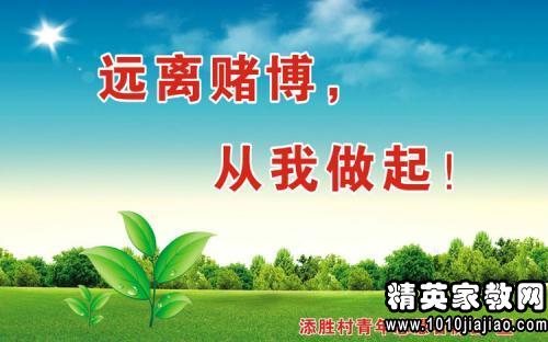 青年志愿者服务口号