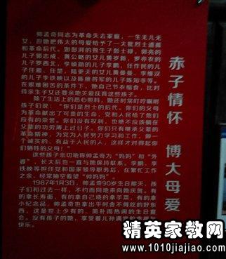 2016初中生社会实践报告范文