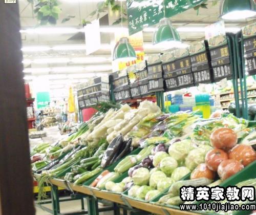 寒假实践报告范文1500字