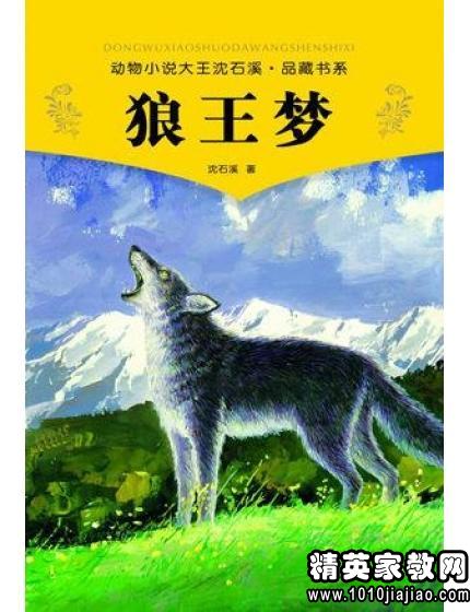 狼王梦读后感200字