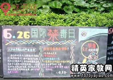 实用文档 唯美句子 口号 > 禁毒日口号