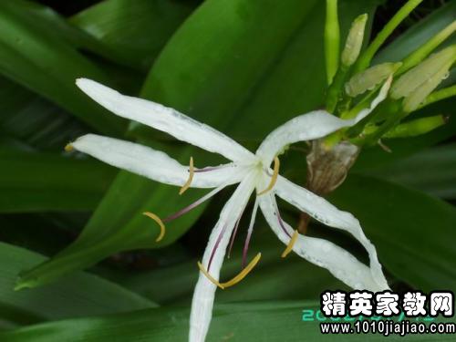 敬重卑微阅读答案