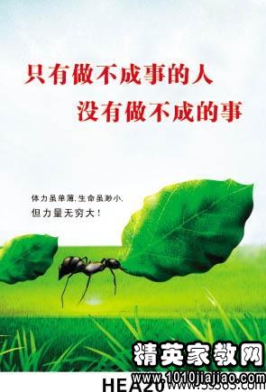 保险行业的激励口号精选