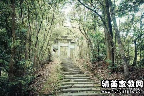 什么山什么野的成语