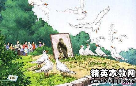 读《老人与海》有感440字