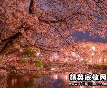 描写自然现象的唯美句子